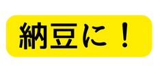 納豆に